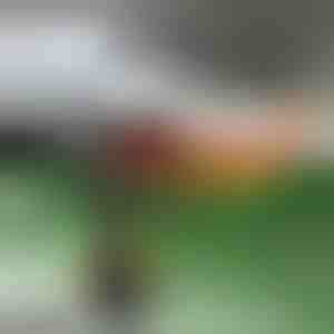 Kiire soojapuhur autosse | TURBOCUP