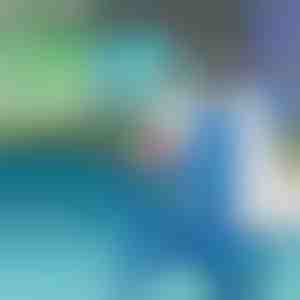 Basseini tolmuimeja imemispea | POOLOOVER