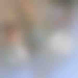 Paranduslint sääsevõrkude jaoks | INSECTAPE