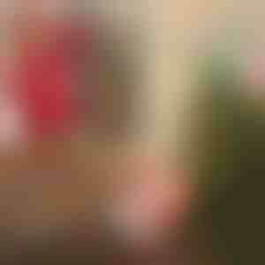 Jõuluvana langevarjuga | SANTASWING