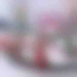 Jõulurong | TRAINMAS