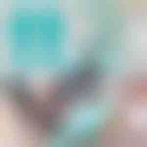 Lemmikloomade hooldus- ja küürimiskindad | FURMITTS