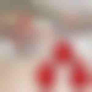 Jõulupiruka valmistamise vorm (3tk) | JOYPIE