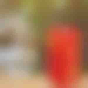 Mullimasin | BUBBLEXPLODER