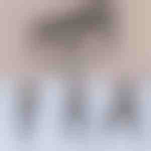 Multifunktsionaalne pilatese treeningvahend | TONEBAR