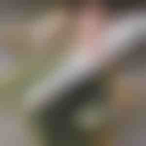 Lihtne kodune sushirullide valmistaja | SUSHROLIO