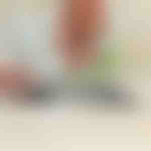 Mitmekülgne teritaja aiatööriistadele ja kööginugadele | SHARPNINJA