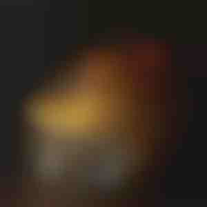 Lemmikloomade joogipurskkaev | PETSPRINGLE