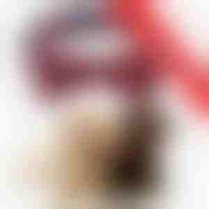 2 x Pidulik lumehelbekestega koera kaelarihm | DOGICOLLAR