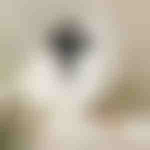 Moodne metallist seinarist | JESUMET