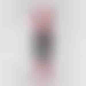 Premium korduvkasutatav mikrokiust puhastuslapp | WIPLY