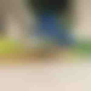 Elektriline puu- ja köögiviljakoorija | PEELMATIC